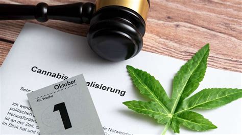 cannabis gesetz bayern